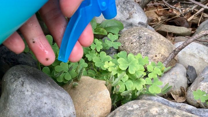 four killer ideas to get of weeds forever