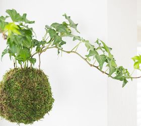 how to make hanging moss ball planters