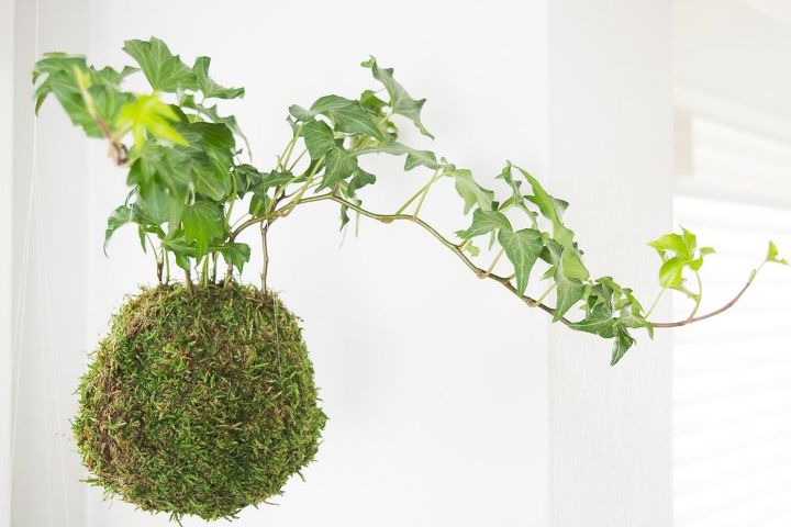 how to make hanging moss ball planters