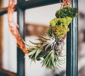 30 fabulosas ideas de coronas de flores que harn sonrer a tus vecinos, Combina el musgo y las plantas de aire para obtener vegetaci n