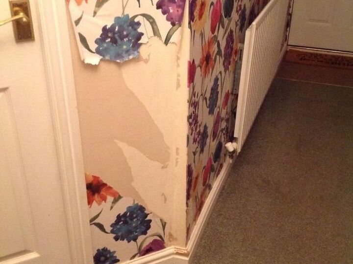 q how would anyone deal with this diy done by our puppy winston