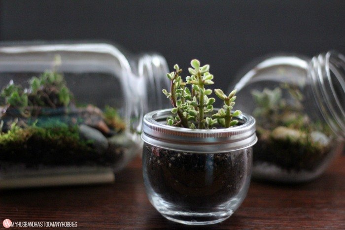 diy outdoor projects