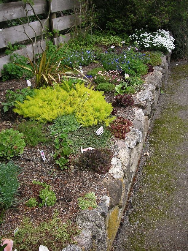 30 ideias incrveis para atualizar o quintal, como construir um jardim de pedras