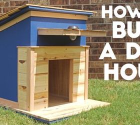 build a modern dog house