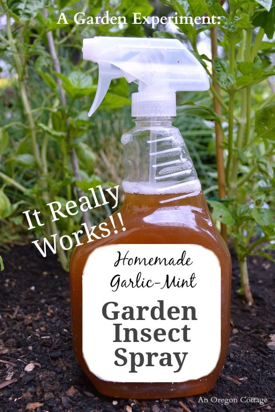 s 30 helpful gardening tips you ll want to know, Spray garlic and mint over the leaves