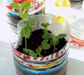 s 30 helpful gardening tips you ll want to know, Make a mini greenhouse from a water bottle