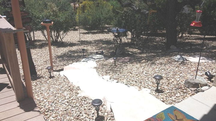 q backyard birds water fountain