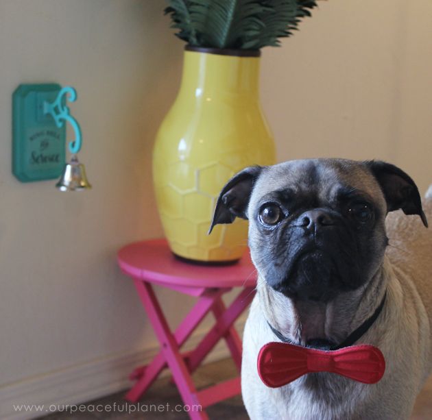 s 10 pawesome projects for your doggy, Ring A Bell For Fido To Go Potty