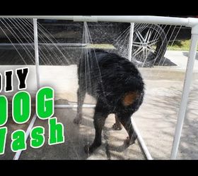 10 proyectos increbles para tu perrito, Consigue un perro limpio y chill n con una ducha