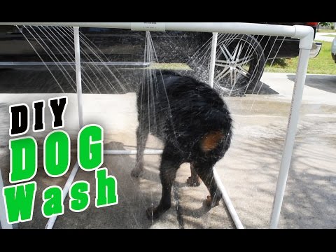 10 projetos incrveis para o seu cachorro, Chuveiro de cachorro de PVC ao ar livre f cil de fazer