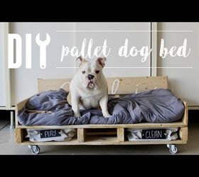 10 proyectos increbles para tu perrito, Haga que su cachorro se siente para medir una cama