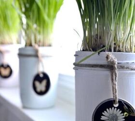 s 15 spunky ways to transform your boring af planters, Fill Wheatgrass Into A Mason Jar