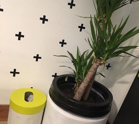 s 15 spunky ways to transform your boring af planters, Put Your Plants In The Washing Machine
