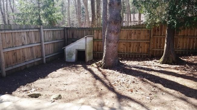 our backyard remodel