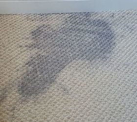 Spilled gray paint on light carpet. Can carpet be 