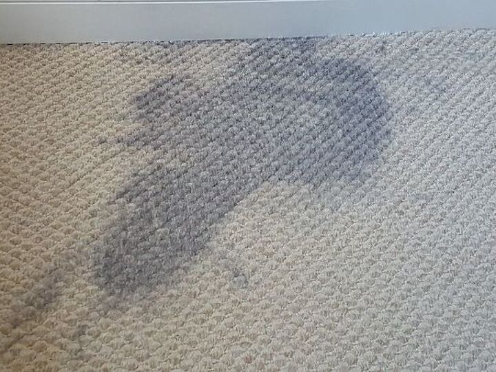q spilled gray paint on light carpet can carpet be fixed