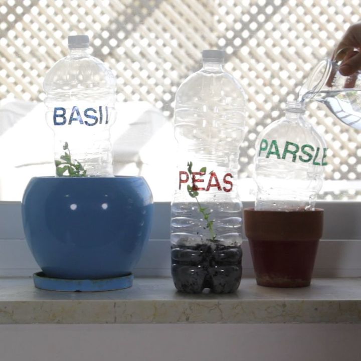 30 formas tiles de reutilizar las botellas de plstico, Haz un invernadero para las plantas