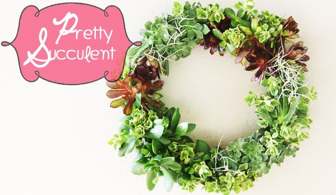 pretty succulent wreath in 30 minutes