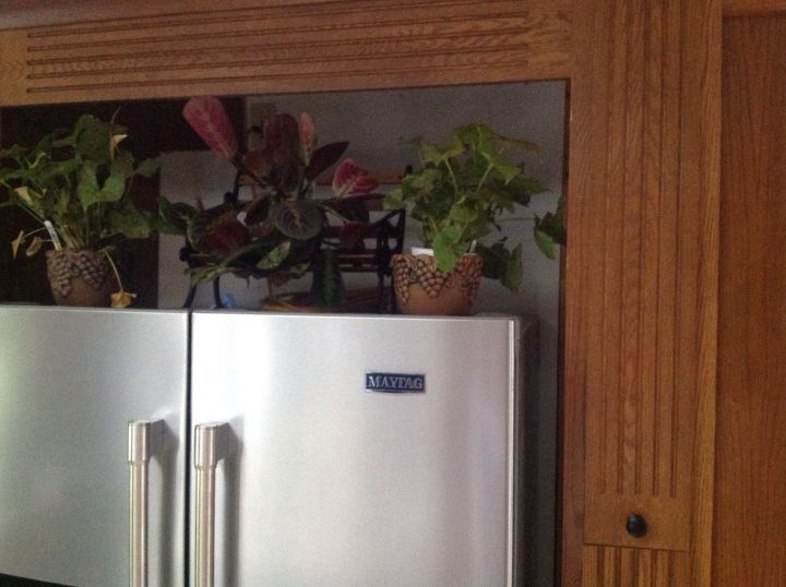 camouflage space around new refrigerator was a large built in fridge