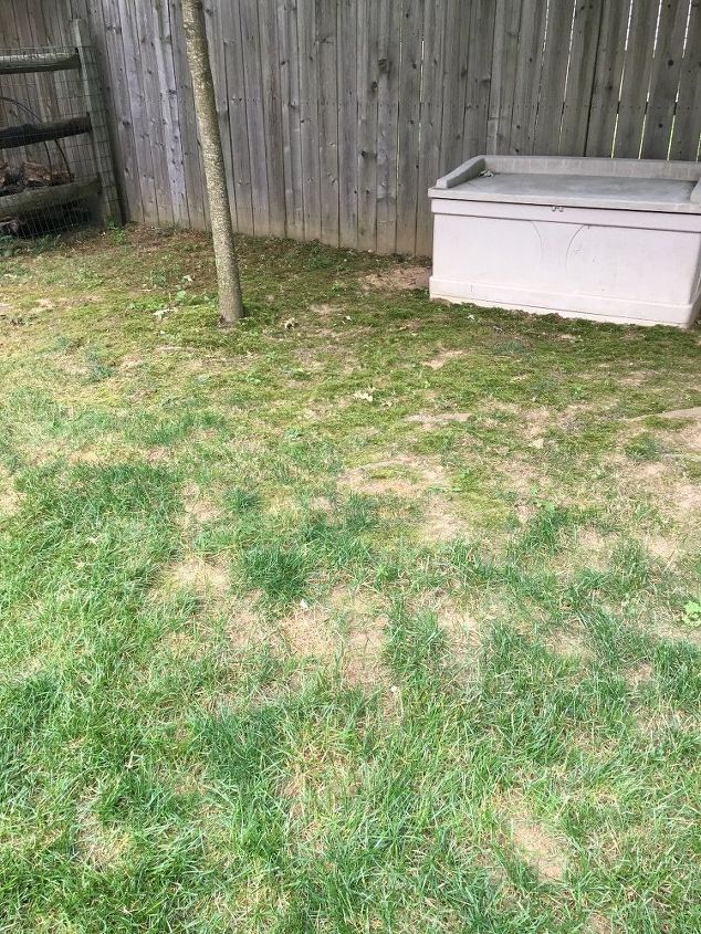 q i have spots in my yard that the grass just won t grow what do i to