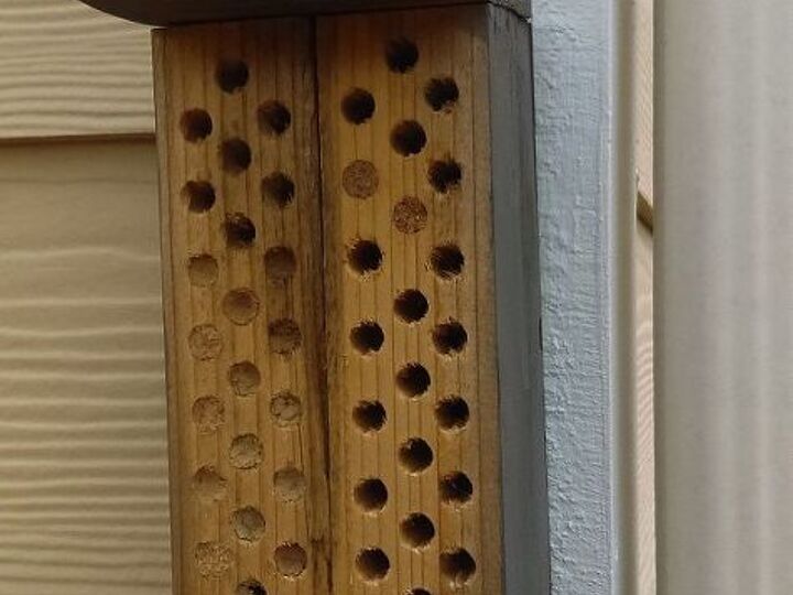 q bee habitat for pollinators