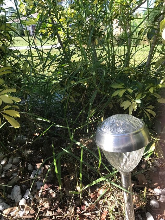 q how can i kill the grass that is growing in shrubs