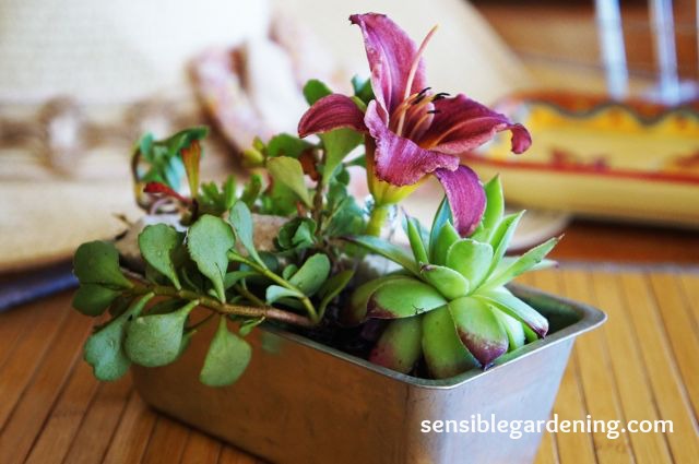 30 creative ways to repurpose baking pans, Make a mini cake pan floral decor