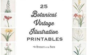 25 impresiones gratuitas de ilustraciones botánicas vintage