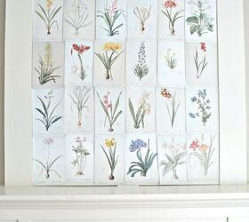 25 free vintage botanical illustration printables