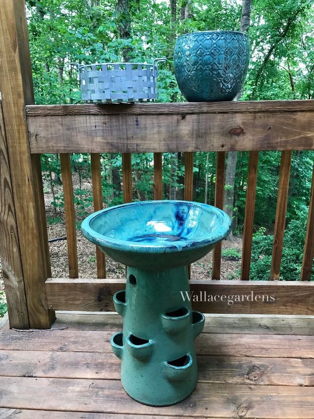 birdbath water garden