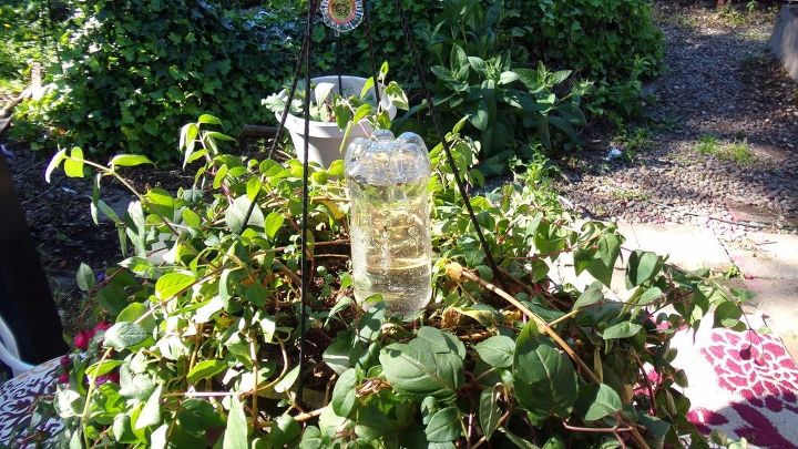 cesta de flores colgante con botella de agua