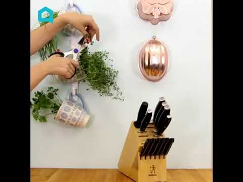 s 10 unique ways to plant your herb garden, After You Finish Drinking Hang The Cup