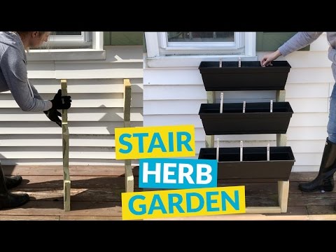 s 10 formas unicas de plantar tu jardin de hierbas, Cubra sus escaleras con hierbas