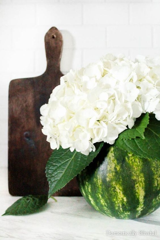 vaso floral de melancia diy