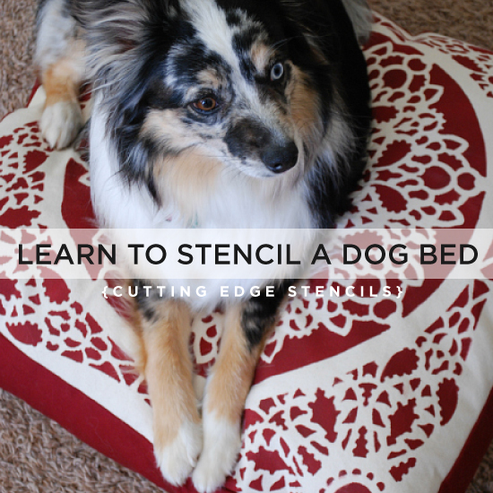 30 great ideas for every pet owner, Stencil Your Puppy s Bed