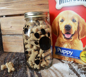 30 great ideas for every pet owner, Use A Mason Jar For Storing Treats