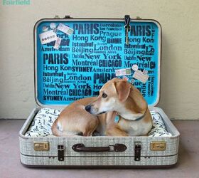 30 great ideas for every pet owner, Repurpose A Suitcase With Stencils For A Bed