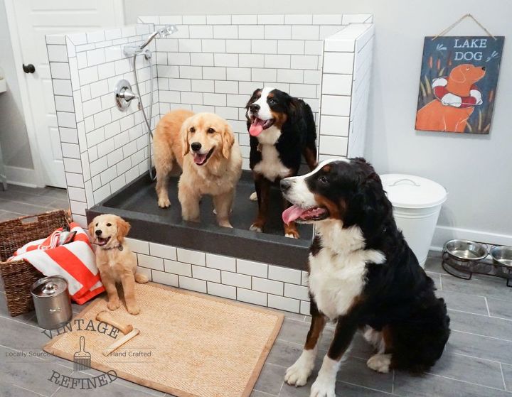 30 grandes ideas para todos los dueos de mascotas, Construya una ducha interior para su perro