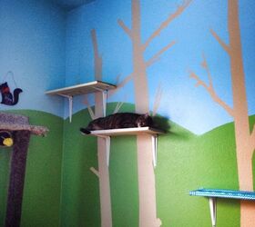 30 great ideas for every pet owner, Design A Playroom For Your Kitty
