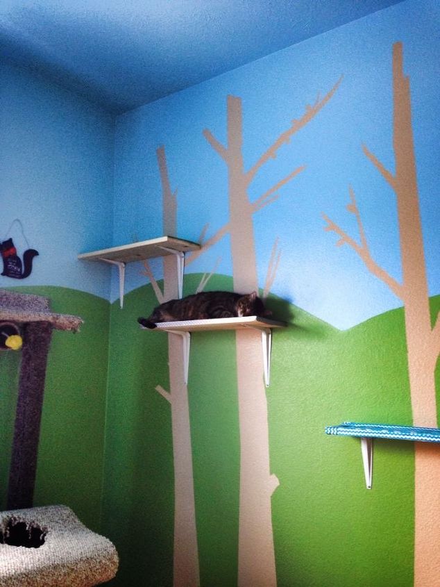30 great ideas for every pet owner, Design A Playroom For Your Kitty
