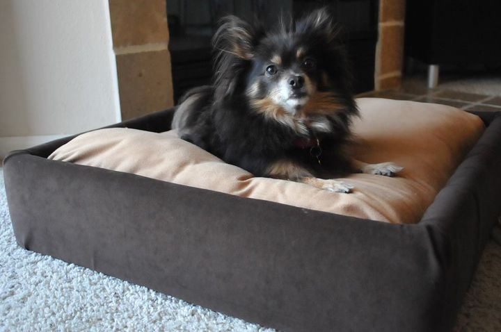 30 grandes ideas para todos los dueos de mascotas, Tapice la cama de su perro con grapas