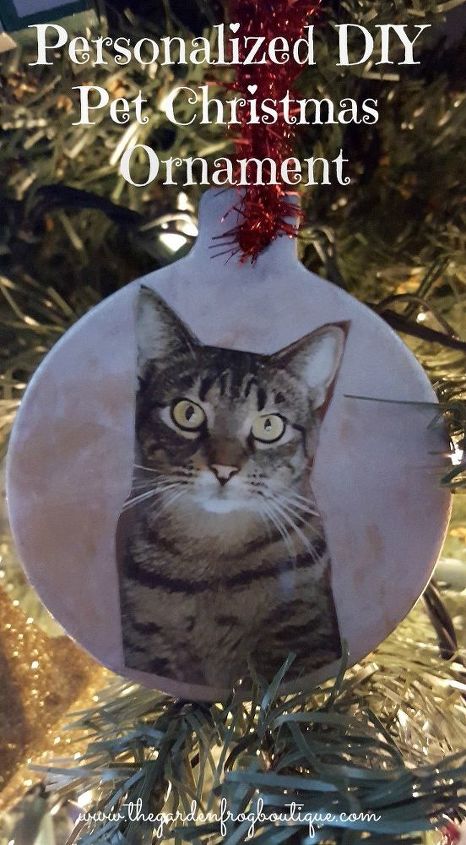 30 grandes ideas para todos los dueos de mascotas, Haga un adorno de su gato para Navidad