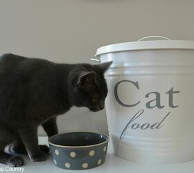 30 great ideas for every pet owner, Recreate A Ballard Food Tin For Cats