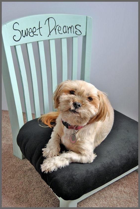 30 grandes ideas para todos los dueos de mascotas, Reutilice una silla vieja como cama para su mascota