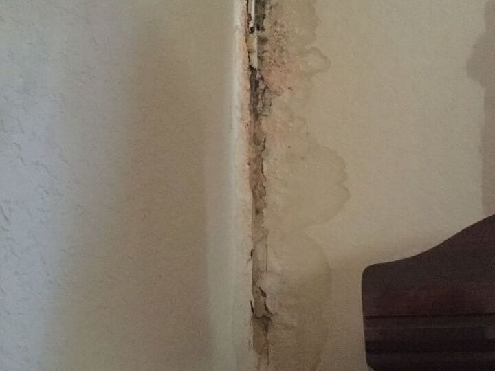 q removing mold damage in corner of house and re painting area