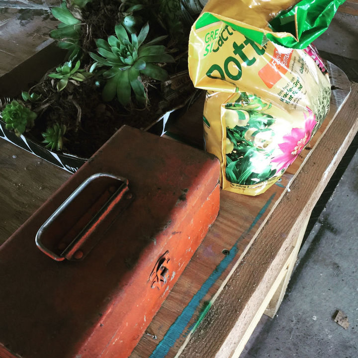 succulent toolbox planter