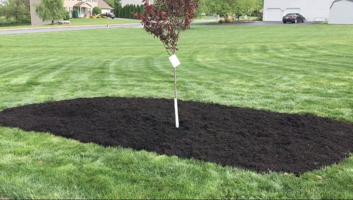 s 10 charming ways to add instant curb appeal to your home, Plot An Easy Garden Bed