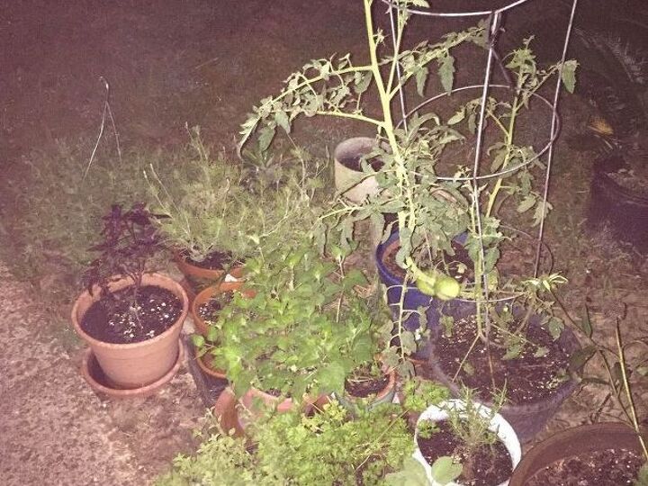 q my many herb pots need to be off the ground easier to water how
