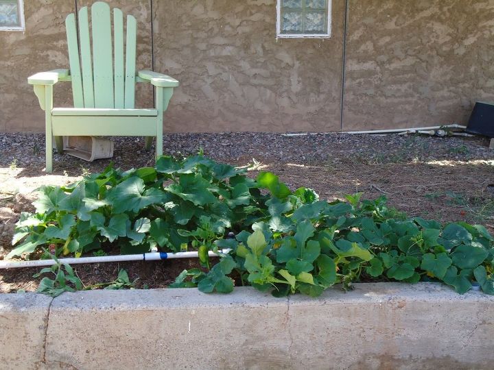 q what s the best way to build a garden off the ground
