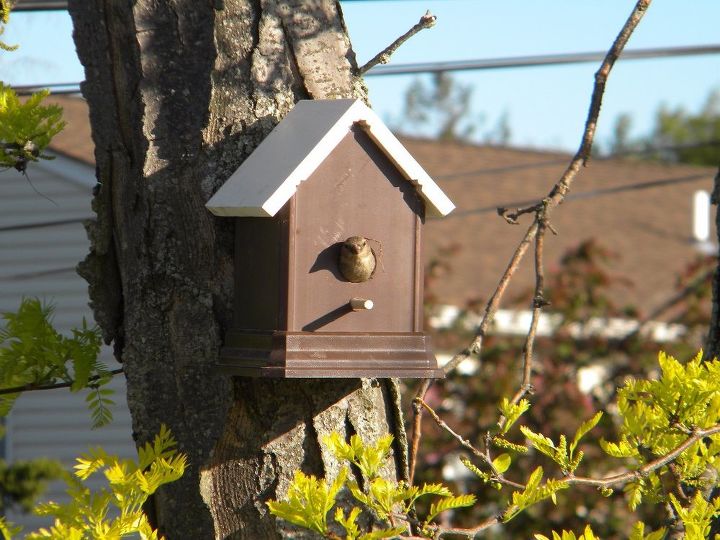 easy diy fence post birdhouse